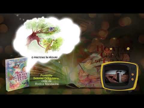 O prietenie în pădure - de Sidonia Dragusanu - poveste audio