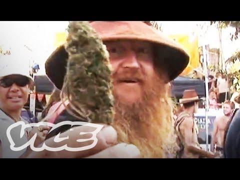 Marijuana Mardi Gras in Australia