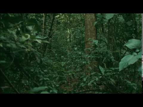 GHOSTWOMAN // "3 Weeks Straight"