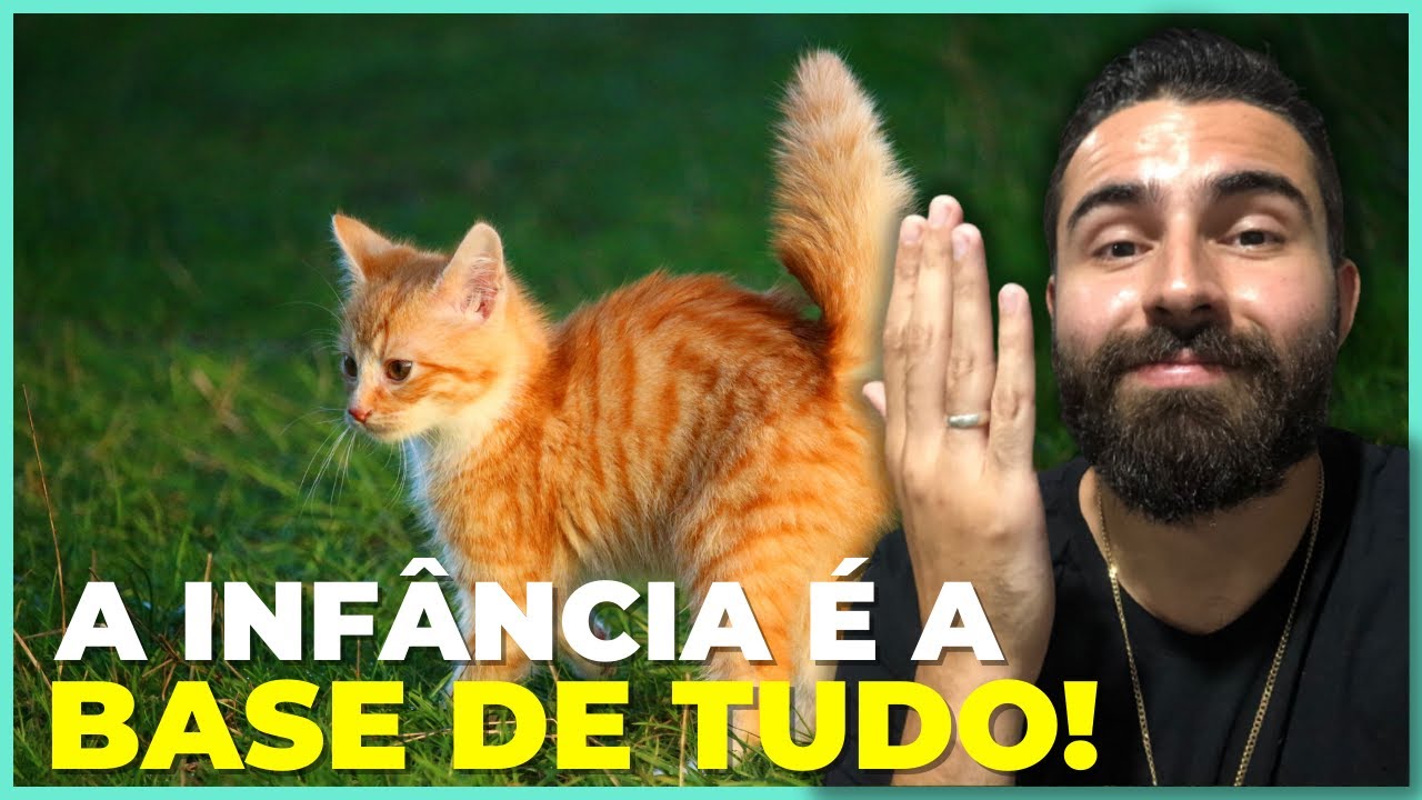 Se Você Tem Um Gato FILHOTE, Você PRECISA Saber DISSO!