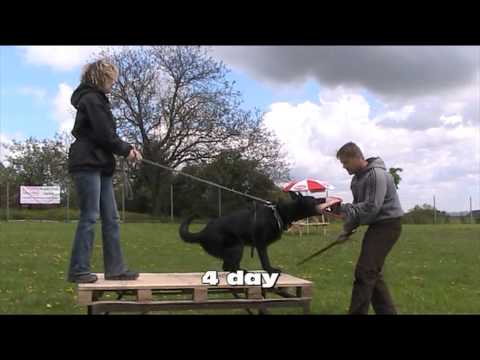 Ackey Levemar - seminar with Jaro Vnencak 5/2013