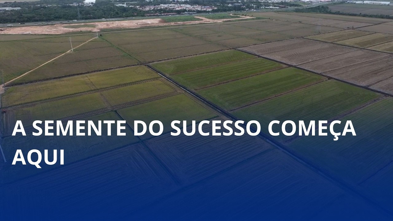 Do campo para a colheita: projeto fortalece a produção de arroz em SC