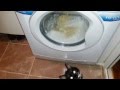 Cute Naughty Cat And Washing Machine