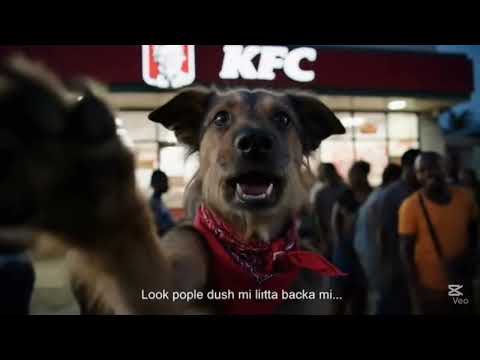 Rex first Vlog! (Go kfc for free meal deal) 🍗🐶🇯🇲