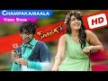 Kandireega Full Video Songs Champaka Maala Video Song Ram Pothineni Hansika Aksha