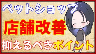 ペットショップ店舗の簡単な改善方法【ペットショップ経営者が教える】
