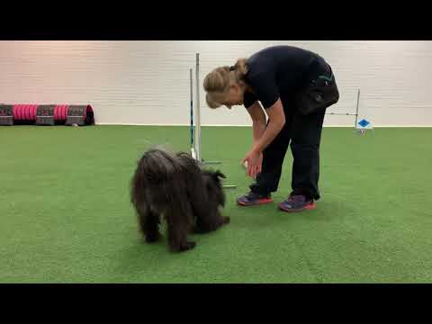 Bravo 2019.10.28 Satspkt m bump