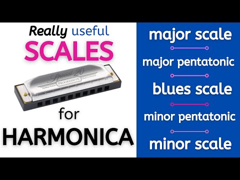 Harmonica Scales in 1st, 2nd, 3rd Positions | Major, Minor & Blues Scale Lesson