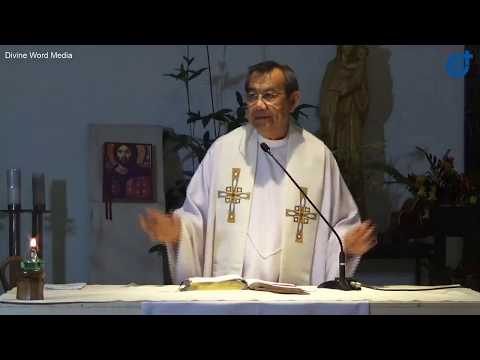 Live 10AM Sunday Holy Mass with Fr Jerry Orbos  SVD - May 3 2020