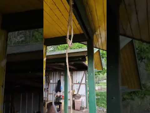 Massive hailstorm hit Loncoche, Cautín Province, in the Araucanía Region, Chile 🇨🇱 (08.11... (Part 2