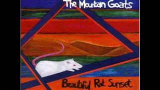 The Mountain Goats, &quot;New Star Song&quot; (1994)