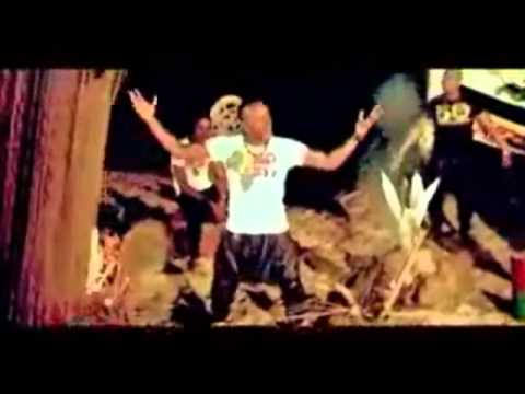 SECTEUR TREMA 229 MUZIK