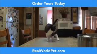 Pet Training Mat - Keep Cats off Counter and Tables