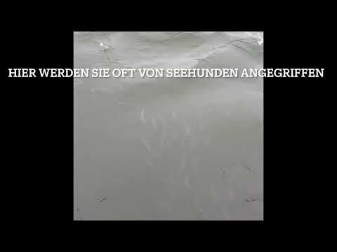 Die Lutzis beim Lachsangeln im Skjern Au, Dänemark