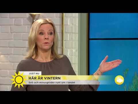 Meteorologen: Här är vintern - Nyhetsmorgon (TV4)
