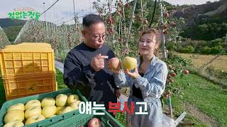'사람도 과일도 다 철이 있다?' 철없는 것들 [박세미 편]