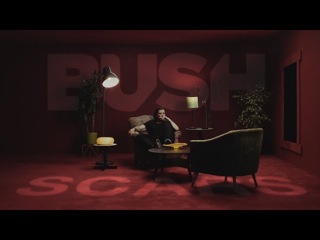 ¡Conoce a la banda Bush y su legado musical!