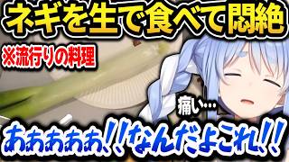 ネギを生で食べた結果、辛すぎて悶絶するぺこらｗ【ホロライブ切り抜き/兎田ぺこら】