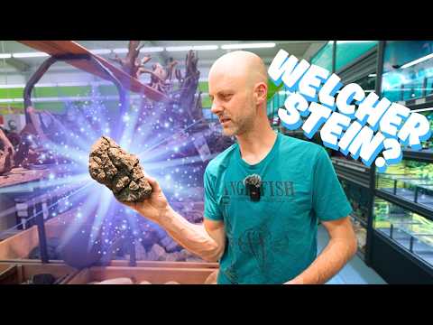 Die beliebtesten Aquariensteine im Vergleich – so findest du den richtigen!