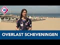 Ideeënbus Overlast Scheveningen stroomt vol - OMROEP WEST