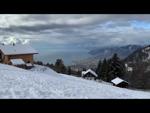 Pre-alps above Geneva Lake, Switzerland🇨🇭in my eyes #travel #switzerland#nature#lake#hiking #skiing