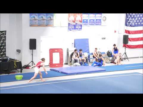 Judges Cup 2021 Vault