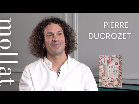 Pierre Ducrozet - Variations de Paul