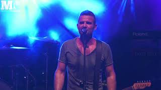 Anime In Plexiglass, Ligabue Tribute - Le Donne Lo Sanno