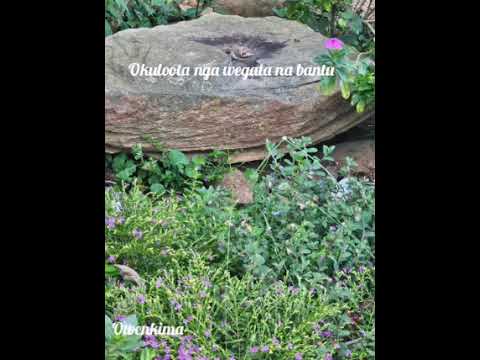 okuloota nga wegata na bantu abenjawulo #like #ebirooto #share #subscribe #