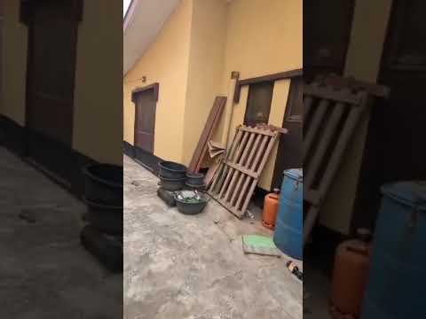 FULL PLOT OF LAND, CONSISTING OF A UNIT OF 4BED FLAT, 3 UNIT OF MINI FLAT, 4SHOPS. @ST MARY'S BUS STOP OFF GOVERNOR ROAD