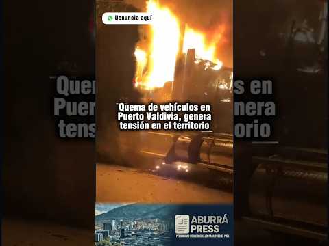 Tensión en Puerto Valdivia por alteración del orden público: autoridades mantienen monitoreo