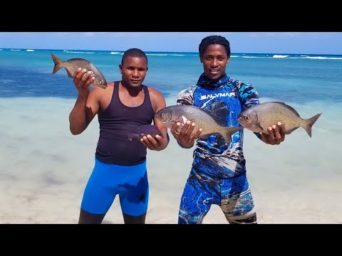 {catch clean cook} freediving spearfishing with friends in choppy sea 🌊