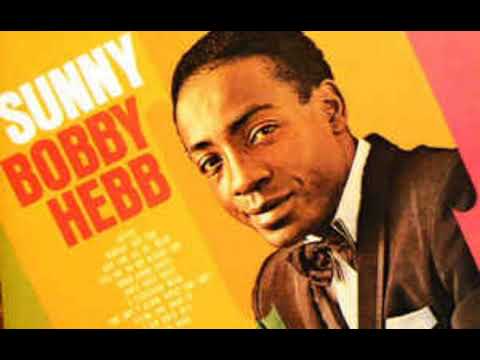 Bobby Hebb & Ron Carter - Sunny (acoustic)