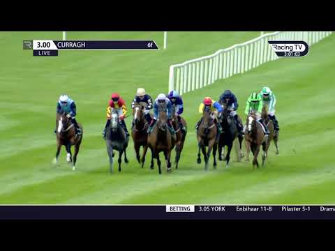 Weatherbys Ireland Greenlands Stakes (Group 2) 2019