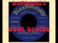 INSTRUMENTAL LATINO - ( ibrahim Ferrer - Habana Camilo )