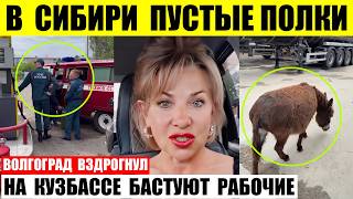 В Сибири пустые полки. Волгоград вздрогнул. На Кузбассе бастуют рабочие.