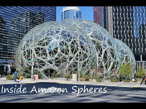 Amazon's jungle: Tour inside The Spheres of Amazon, Seattle