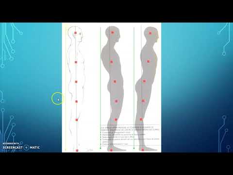 Test della parete con Appiombo delle quattro cifosi dal punto di vista biomeccanico e funzionale