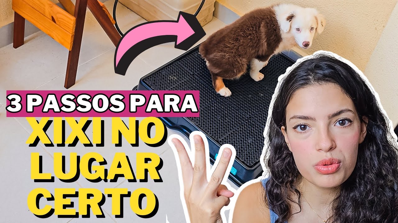 😱Aprendeu muito RÁPIDO!! Como ensinar o cachorro a fazer XIXI e COCÔ no lugar certo?