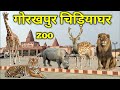 Gorakhpur Zoo | Gorakhpur Chidiya Ghar | गोरखपुर चिड़ियाघर | Zoo Full Video  gorakhpur z