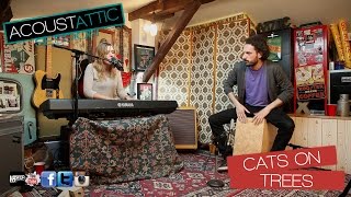 CATS ON TREES - Jimmy - Acoustattic Session S01E12