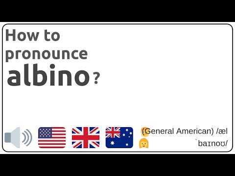 How to pronounce albino in english?