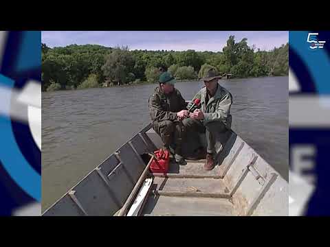 Sveti sava u Čortanovcima i Kovilju - Borino 5kazanje