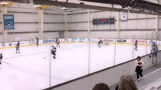 GSE 14U AA South vs Jr. Sharks 14U AA  @ San Jose Sharks on 2/2/2018 at 7:00pm