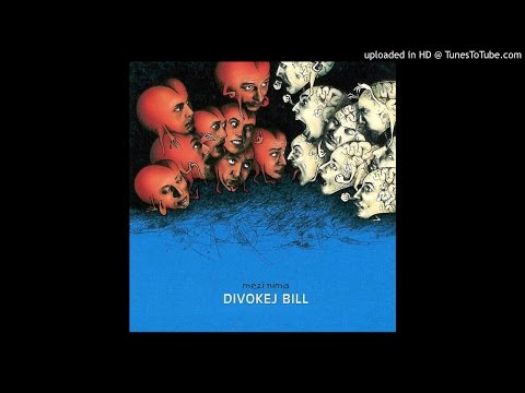 07.Divokej Bill - Vokna