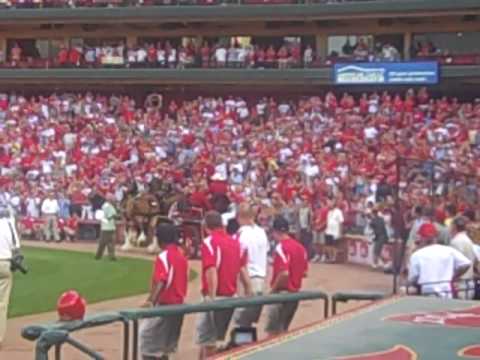 Whitey Herzog Entrance @ Busch