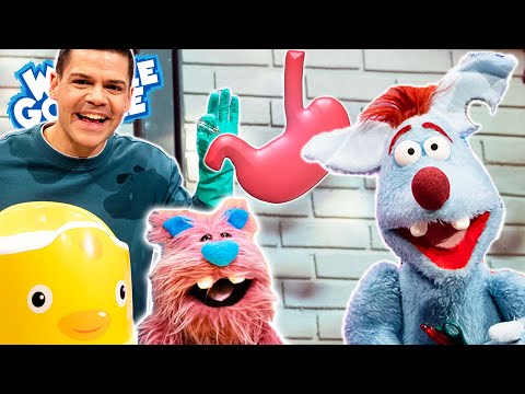 Wie funktioniert unsere Verdauung? l WOOZLE GOOZLE