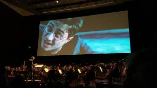 Harry Potter and the Order of the Phoenix in concert - Dumbledore vs Voldemort + Possession