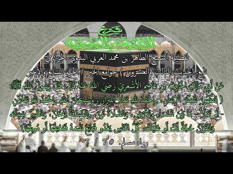 تابع: شرح الأربعين النووية / الحديث الثالث والعشرون / جوامع الخير # 7 / 7 والأخير
