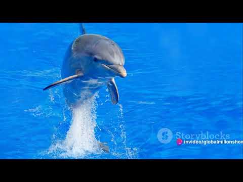 "Desafio do Milhão: Edição Especial - Sua Chance de Brilhar! 🌟🎉"